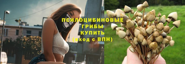 дживик Арсеньев