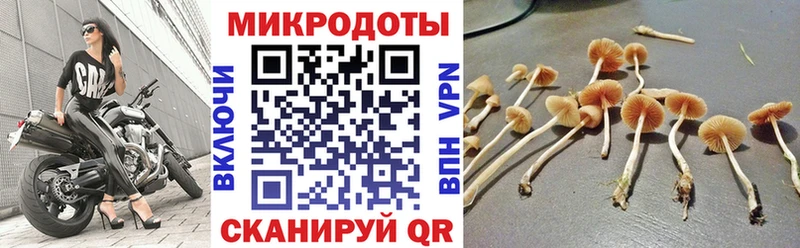 Купить  Севск  Псилоцибиновые грибы GOLDEN TEACHER 
